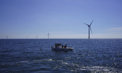 Beneath offshore wind turbines, researchers grow seafood and seaweed