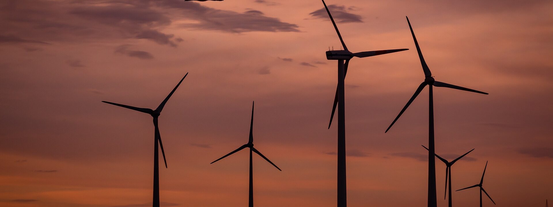 New tech under development to monitor bird and bat contact with wind turbines