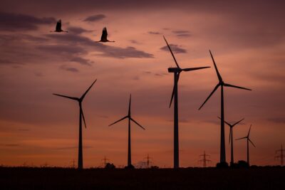 New tech under development to monitor bird and bat contact with wind turbines