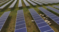 Dominion Energy Virginia approved for 764 MW of new solar